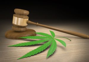 growing weed law