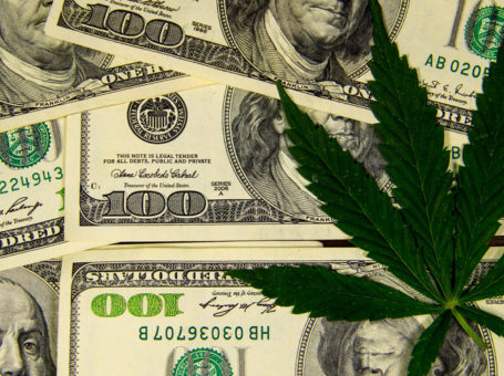 cannabis license business