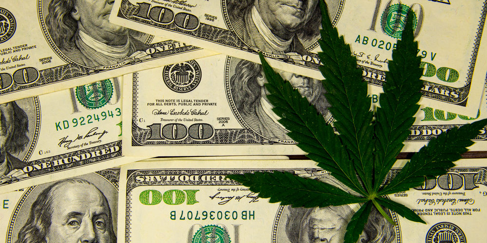 cannabis license business