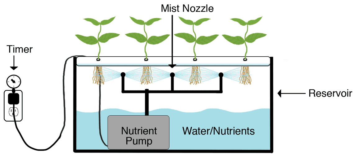 Aeroponics weed growing