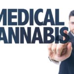 Starting a cannabis business