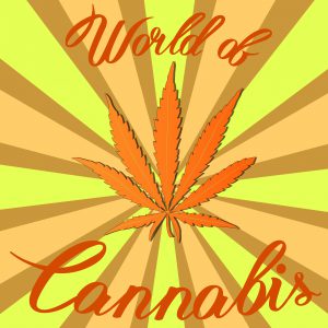 start to decriminalize weed