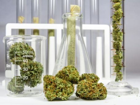 The Increasingly Legal, Medical and Recreational Use of Marijuana