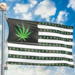 Legalization of cannabis in US
