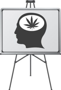 Marijuana has Physical and Psychological Effects