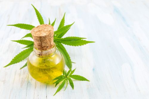Hemp oil is extracted from hemp seeds and it offers plenty benefits