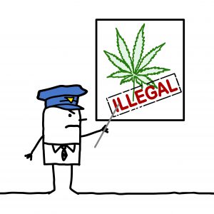 The Cannabis Law in Berlin