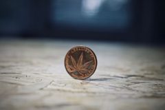 Trivia on the Cannabis Coins Trend
