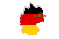 Best Places to Buy Weed in Berlin